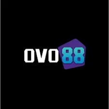 OVO88 - Pengalaman Seru Bermain Poker di Ujung Jari Anda